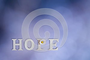 The word Hope in wooden letters