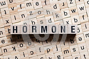 The word of HORMONE on building blocks concept photo