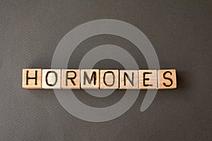 the word hormones wooden cubes with burnt letters