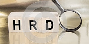 The word HRD is made of wooden building blocks  Human resource Department concept