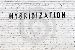 Word hybridization painted on white brick wall