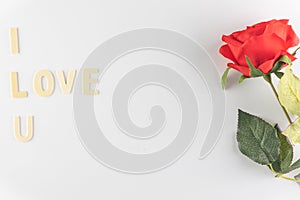 Word `I love You` on white background with space for text, Love icon, valentine`s day