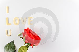 Word `I love You` on white background with space for text, Love icon, valentine`s day