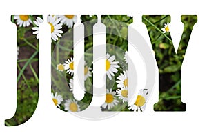 Word July made of flowers nature background. summer months