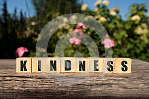 Word KINDNESS made with wood building blocks,stock image.