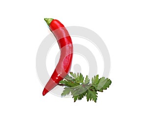 letter L from red chili pepper and green parsley herb cook book, letter for recipe photo