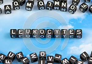 The word leukocytes photo