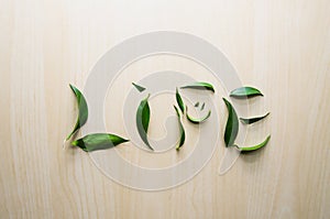 Word Life emotion smile made with leaves of ruscus flower at wooden rustic wall background. Still life, eco style, top