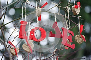 Word Love and heart-shaped ornaments