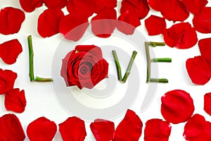 The Word LOVE Spelled With Isolated Red petals Roses on White Background Perfect for Valentines Day and Women`s Day