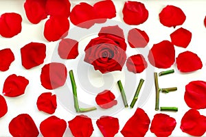 The Word LOVE Spelled With Isolated Red petals Roses on White Background Perfect for Valentines Day and Women`s Day. The