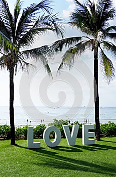 The word love spelled out on a beach between palm trees