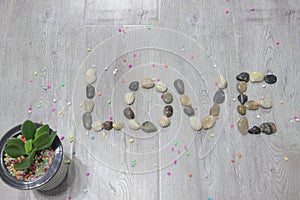 Word love spelled with pebbles and green potted plant on wooden background, top view