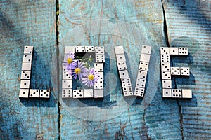 Word love of wooden dominoes