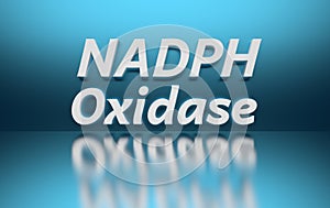 Word NADPH Oxidase on blue background photo