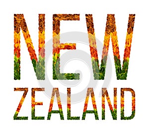 Word new zealand country is written with leaves on a white insulated background, a banner for printing, a creative