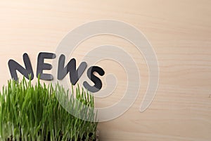 Word NEWS made with letters and green grass on wooden background