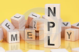 Word npl from wooden blocks with letters, concept