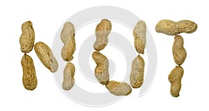 Word nuts spelled with peanut seeds isolated on white background