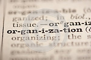 Word organization