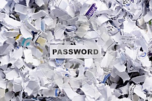 Word Password on top of heap of cross shredded paper