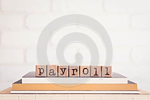 The word PAYROLL and blank space background, vintage