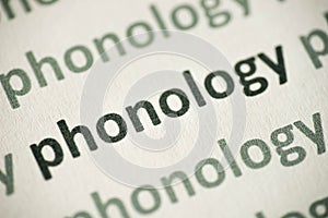 Word phonology printed on paper macro