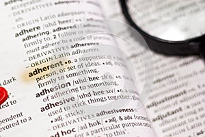 The word or phrase Adherent in a dictionary