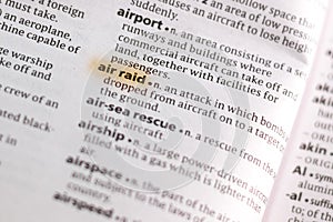 The word or phrase Ari Raid in a dictionary