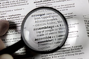 The word or phrase assemblage in a dictionary