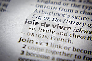 Word or phrase Joie de vivre in a dictionary. photo