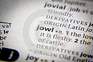 Word or phrase Jowl in a dictionary