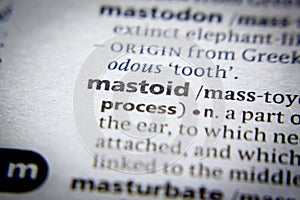 Word or phrase Mastoid in a dictionary photo