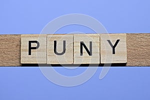 Word puny made from wooden gray letters