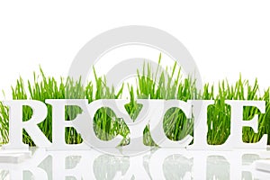 Word Recycle with fresh grass