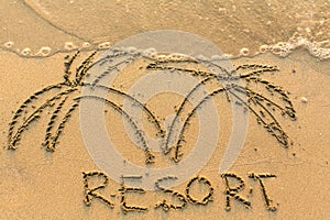 Word Resort and palm trees - drawn by hand on a light-golden beach