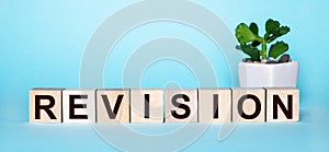 The word REVISION is written on wooden cubes near a flower in a pot on a light blue background