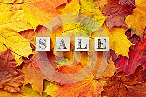 Word sale. Background from colorful maple leaves. Yellow and red autumn leaves. Pattern. Fall shopping concept. Four blank wooden