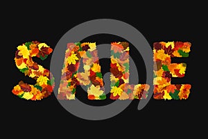 Word SALE made with colorful fall leaves, isolated on black