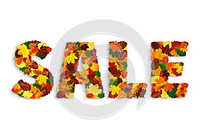 Word SALE made with colorful fall leaves, with shadow, isolated on white