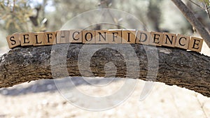 The word self-confidence was created from wooden cubes. Photographed on the tree..