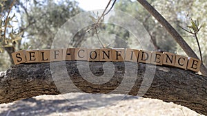 The word self-confidence was created from wooden cubes. Photographed on the tree