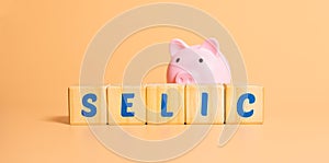 The word selic written on wooden cubes with a piggy bank. photo