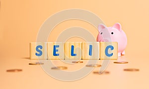 The word selic written on wooden cubes with a piggy bank and some brazilian coins. photo
