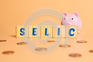 The word selic written on wooden cubes with a piggy bank and some brazilian coins. photo