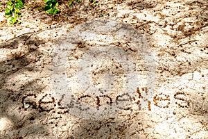 The word Seychelles written in the sand on a beautiful tropical beach