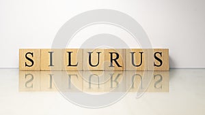 The word Silurus was created from wooden letter cubes. Seafood and food.