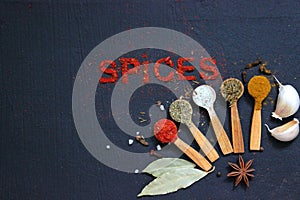 The word spice is written on a black background. Various spices ground turmeric pepper ginger cinnamon herb seasoning salt paprika