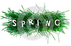 Word SPRING made of wooden letters on grass isolated on white