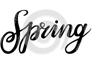 Word Spring. Simple vector hand drawn calligraphy lettering